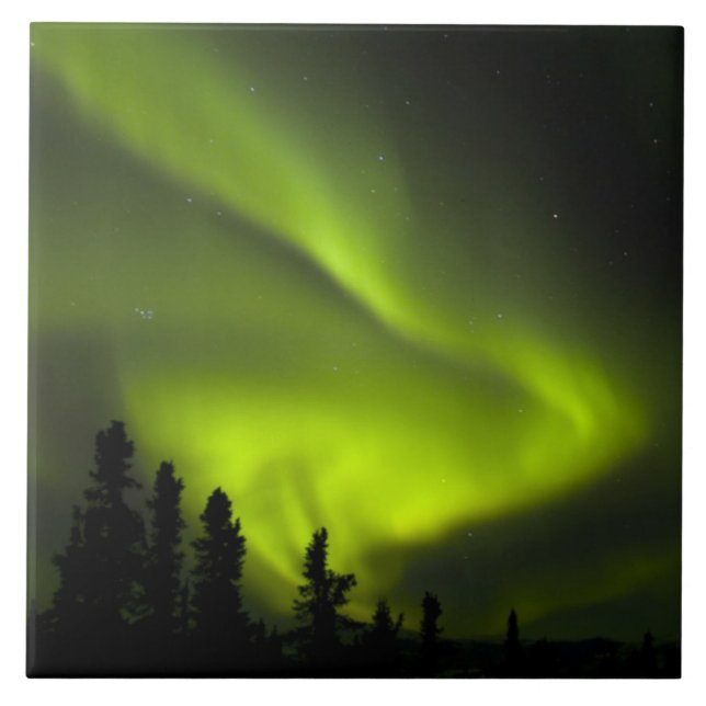 EUA, Alasca, Chena Hot Springs. Aurora Boreal 2 (Frente)