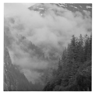 EUA, Alasca, Juneau, Floresta tropical cobre fiord