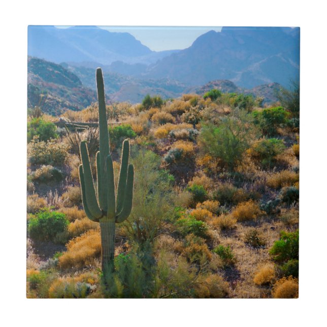 EUA, Arizona. Desert View (Frente)