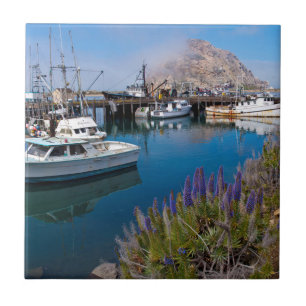 EUA, Califórnia. Barcos Atracados em Morro Bay
