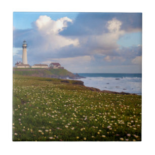 EUA, Califórnia. Big Sur Panorama 2