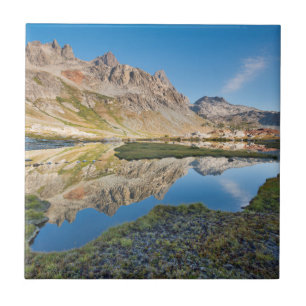 EUA, Califórnia, Floresta Nacional Inyo 11