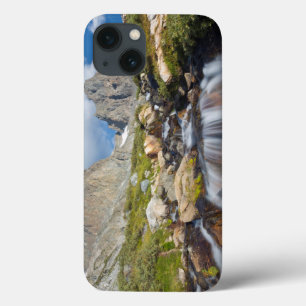 EUA, Califórnia, Floresta Nacional Inyo 14