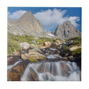 EUA, Califórnia, Floresta Nacional Inyo 14
