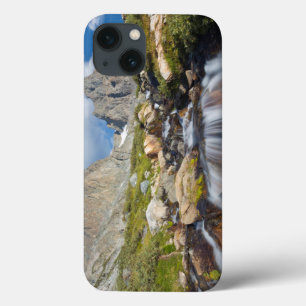 EUA, Califórnia, Floresta Nacional Inyo 14