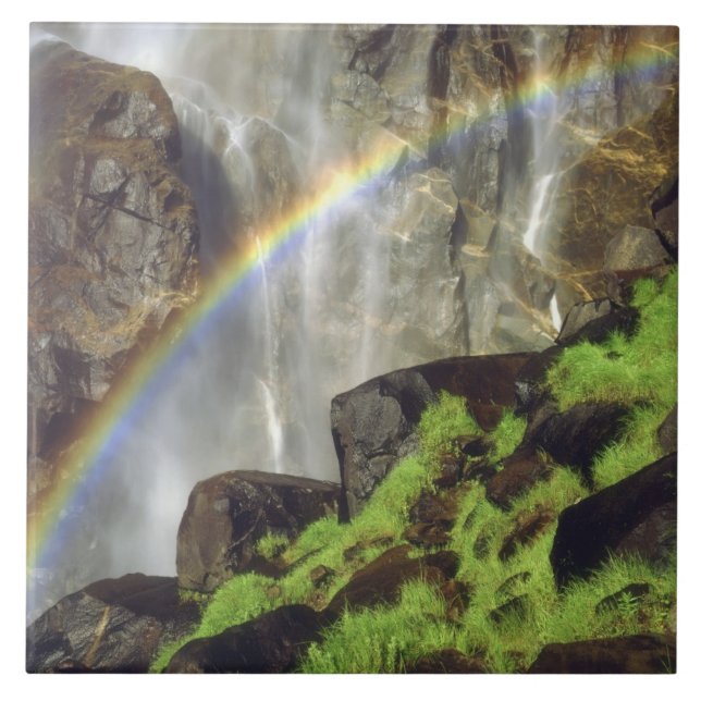 EUA, Califórnia, Parque Nacional de Yosemite. Uma (Frente)