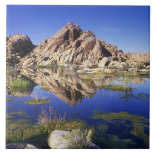 EUA, Califórnia, Parque Nacional Joshua Tree,