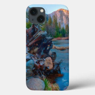 EUA, Califórnia. Raízes De Árvores No Rio Merced