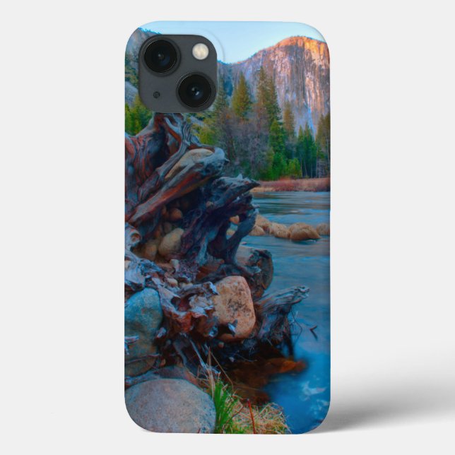 EUA, Califórnia. Raízes De Árvores No Rio Merced (Verso)