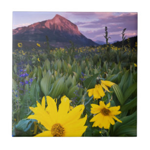 EUA, Colorado, Mt. Crested Butte