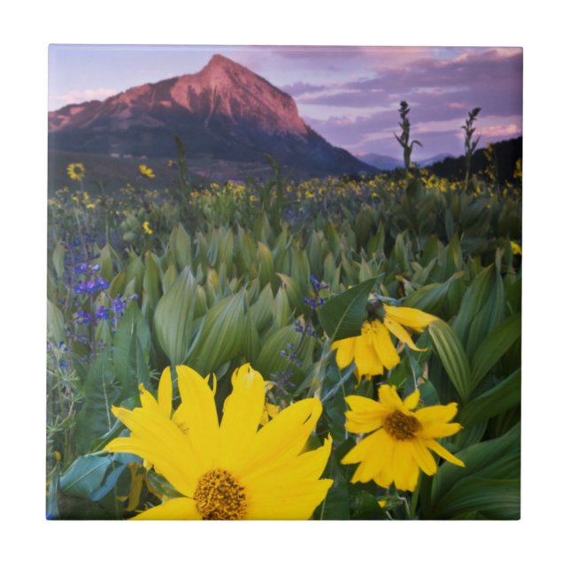 EUA, Colorado, Mt. Crested Butte (Frente)