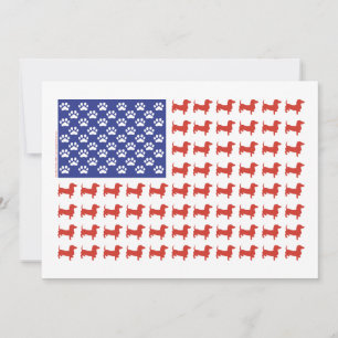EUA Dachshund