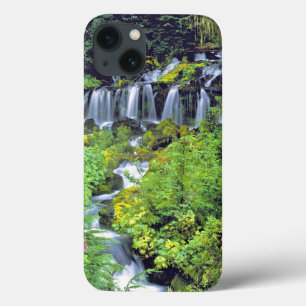EUA, Estado de Washington, Mt Adams Wilderness. G