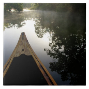 EUA, Florida, Ocala National Forest, Alexander