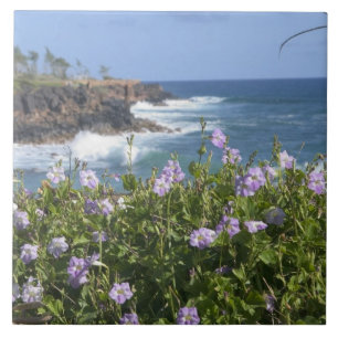 EUA, Havaí, Kauai, perto de Kapaa, noroeste