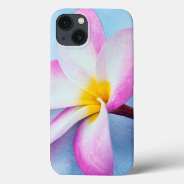 EUA, Havaí, Oahu, Flores de Plumeria em flor 2 (Verso)