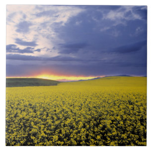 EUA, Idaho, Swan Valley. Um pôr do sol ardente irr