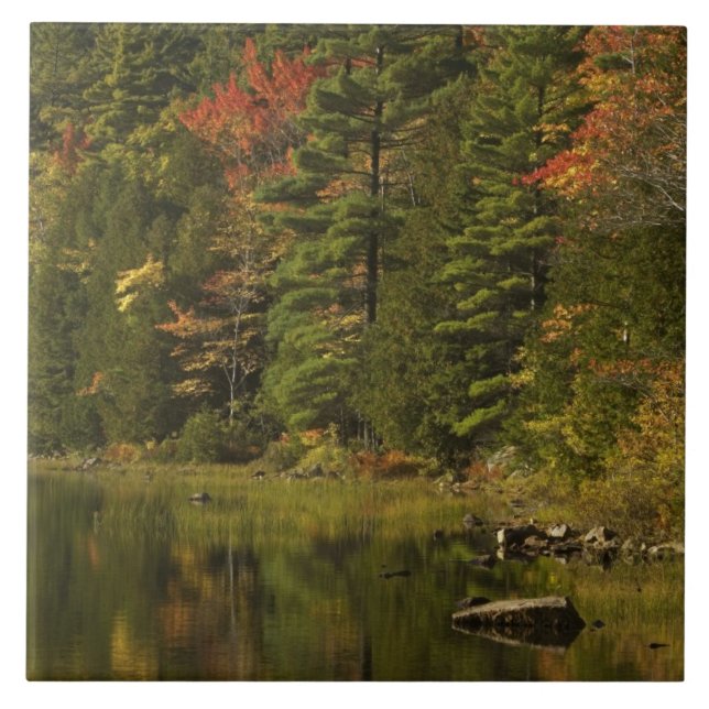 EUA; Maine; Acadia NP. Reflexos de outono às 2 (Frente)