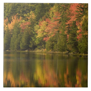 EUA; Maine; Acadia NP. Reflexos de outono em
