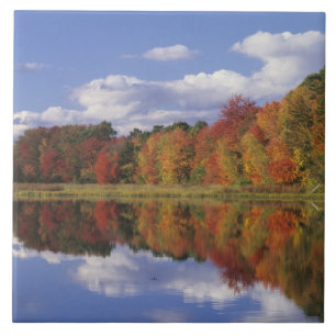 EUA, Massachusetts, Acton. Reflexo do outono