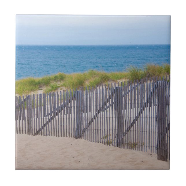 EUA, Massachusetts. Dunas E Caminho (Frente)