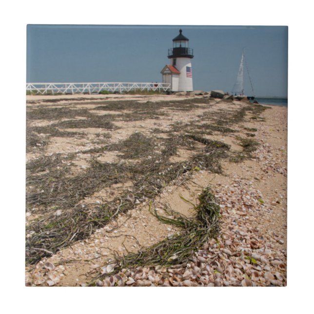 EUA, Massachusetts, Nantucket. Concha (Frente)