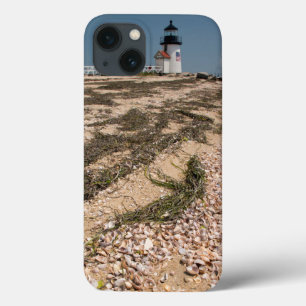 EUA, Massachusetts, Nantucket. Shell