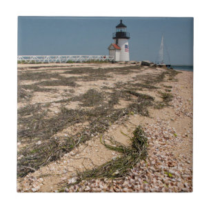 EUA, Massachusetts, Nantucket. Shell