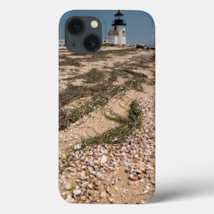 EUA, Massachusetts, Nantucket. Shell