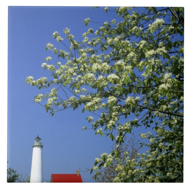 EUA, Michigan, East Tawas. Farol Tawas com (Frente)