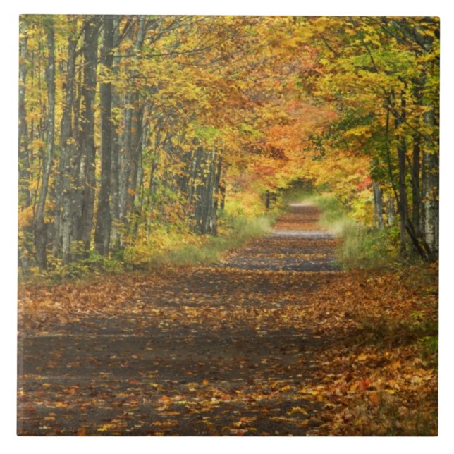 EUA, Michigan, Península Superior. Estrada para (Frente)