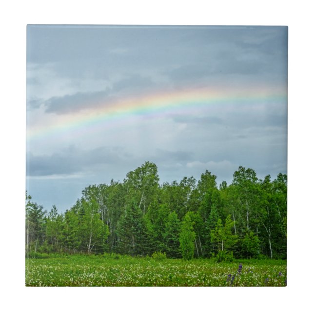 EUA, Minnesota. Prado verde com flores silvestres (Frente)
