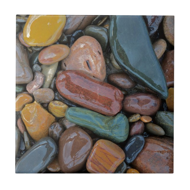 EUA, Montana, Clark Fork River, Stones (Frente)