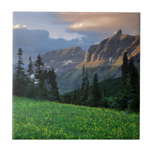 EUA, Montana, Parque Nacional Glacier, Logan Pass