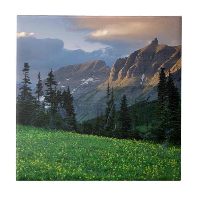 EUA, Montana, Parque Nacional Glacier, Logan Pass (Frente)