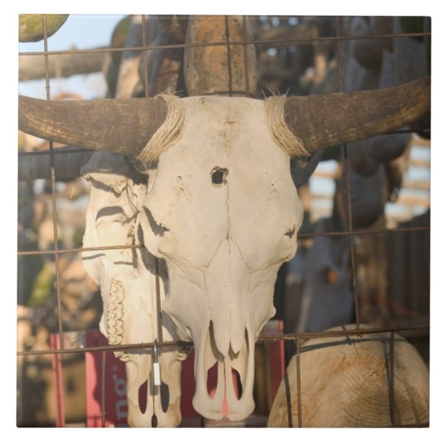 EUA, New mexico, Mesilla: Plaza histórica de (Frente)