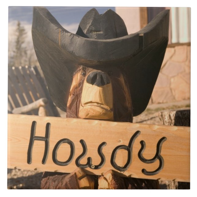 EUA, New mexico, ninho de Eagles: Enchanted (Frente)