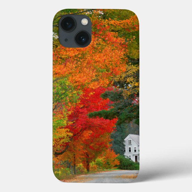 EUA, Nova Inglaterra, New Hampshire, Andover (Verso)