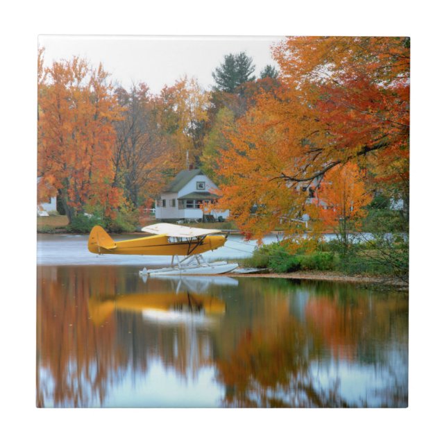 EUA, Nova Inglaterra, New Hampshire. Avião flutuan (Frente)