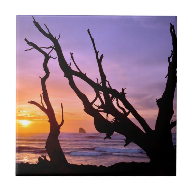 EUA, Oregon, Cape Meares. Pôr do sol (Frente)