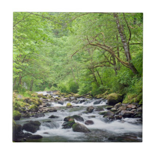 EUA, Oregon, Columbia River Gorge, Tanner Creek 4