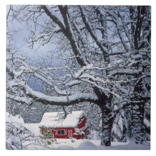 EUA, Oregon, Condado de Clackamas. Neve fresca cob