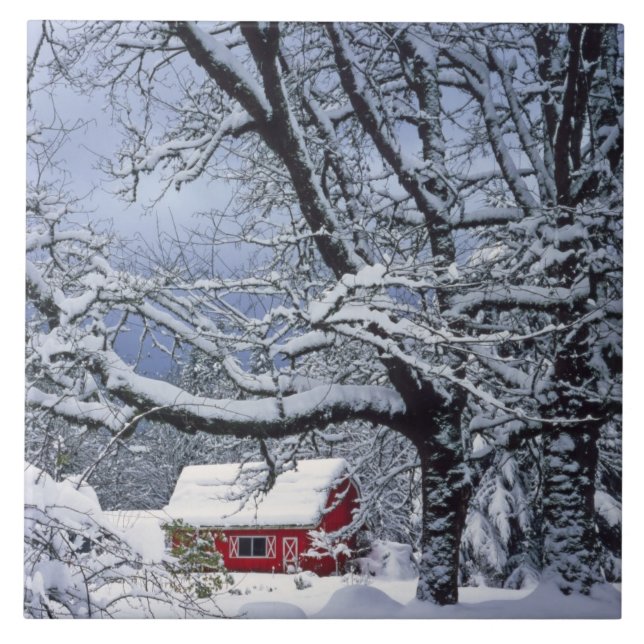 EUA, Oregon, Condado de Clackamas. Neve fresca cob (Frente)