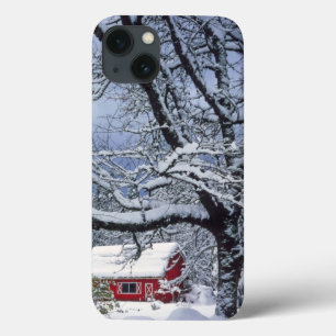 EUA, Oregon, Condado de Clackamas. Neve fresca cob