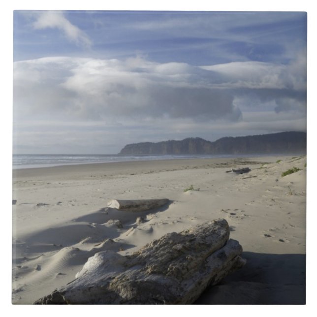 EUA, Oregon, Dunas de Areia e Oceano, Pacific City (Frente)
