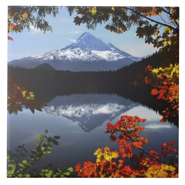 EUA, Oregon, Floresta Nacional de Mt. Hood. (Frente)