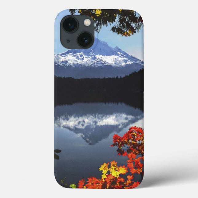 EUA, Oregon, Floresta Nacional de Mt. Hood. (Verso)