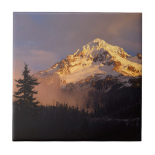 EUA, Oregon, Floresta Nacional de Mt. Hood