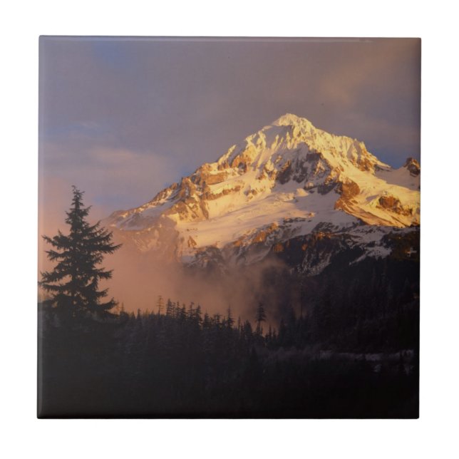 EUA, Oregon, Floresta Nacional de Mt. Hood (Frente)