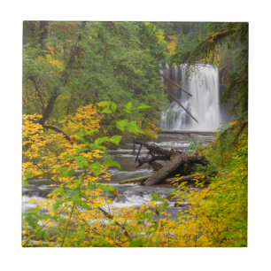 EUA, Oregon, Parque Estadual Silver Falls 2